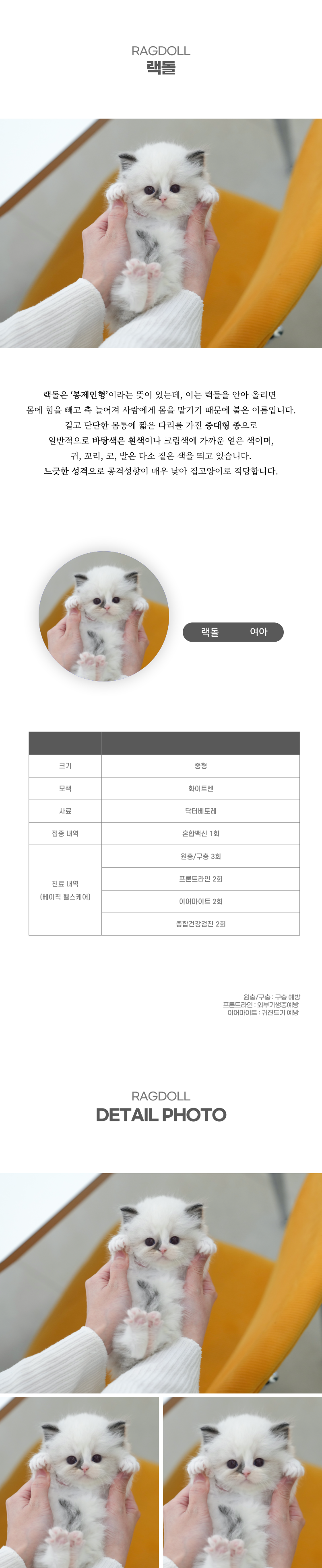 랙돌_상세이미지_2